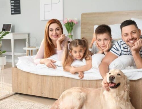 The Benefits of Green Cleaning for Pet Owners in Rockwall