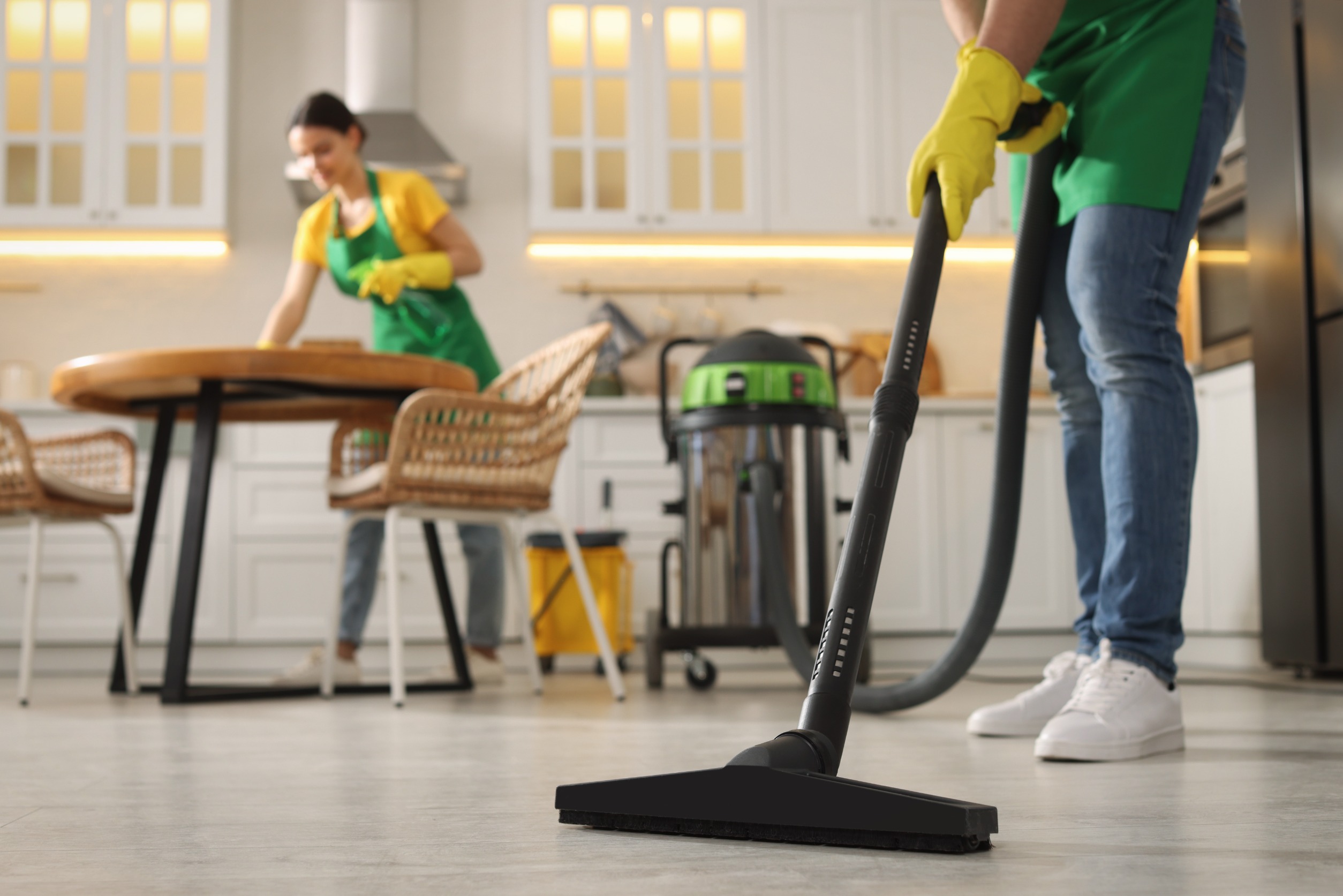 Professional House Cleaning Services