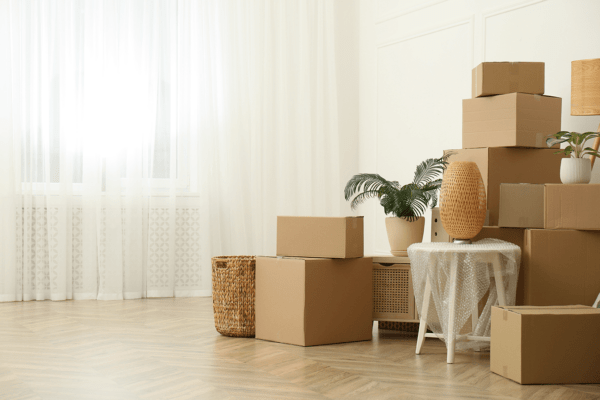 Move In/Out House Cleaning