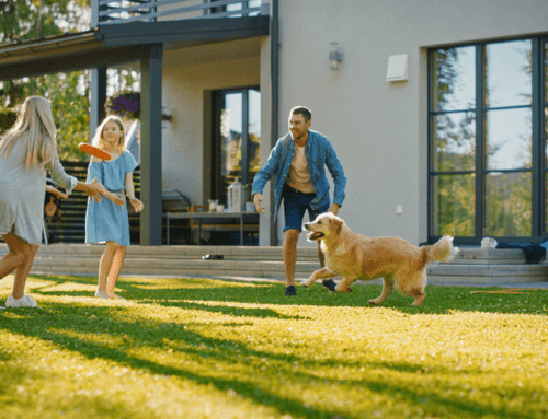 Pet-Safe Summer Cleaning Solutions for Rockwall Homes