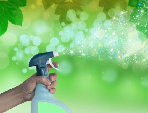 Rockwall’s Guide to Sustainable Living: A Green Cleaning Routine