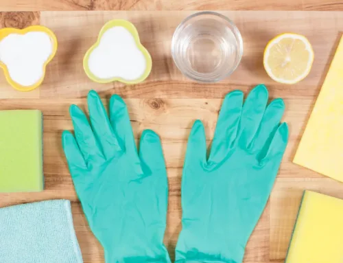 The Truth Behind Popular Green Cleaning Myths