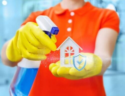 Fight Winter Germs with Eco-Friendly Cleaning Techniques in Rockwall