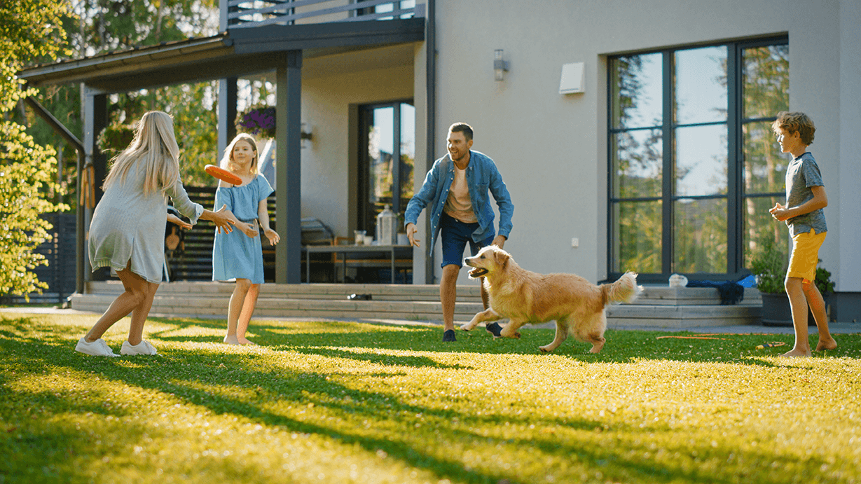 Eco-Friendly House Cleaners Near Me in Garland, TX