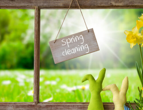 Professional Spring Cleaning Services in Sunnyvale